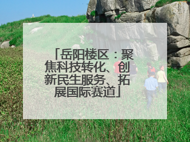岳阳楼区：聚焦科技转化、创新民生服务、拓展国际赛道