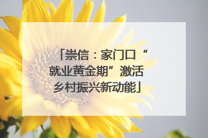 崇信：家门口“就业黄金期”激活乡村振兴新动能