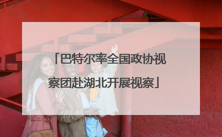 巴特尔率全国政协视察团赴湖北开展视察