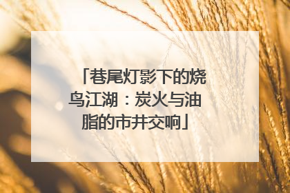 巷尾灯影下的烧鸟江湖：炭火与油脂的市井交响