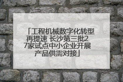 工程机械数字化转型再提速 长沙第三批27家试点中小企业开展产品供需对接