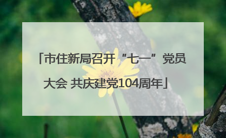 市住新局召开“七一”党员大会 共庆建党104周年