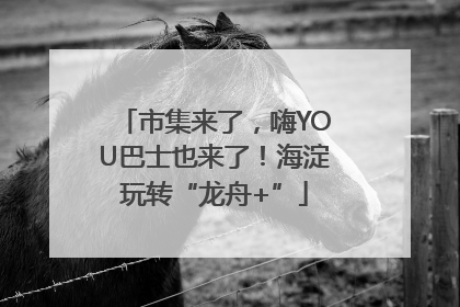 市集来了，嗨YOU巴士也来了！海淀玩转“龙舟+”