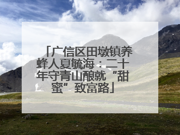 广信区田墩镇养蜂人夏毓海：二十年守青山酿就“甜蜜”致富路