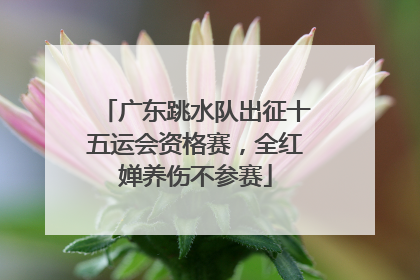 广东跳水队出征十五运会资格赛，全红婵养伤不参赛