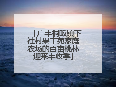 广丰桐畈镇下社村果丰苑家庭农场的百亩桃林迎来丰收季