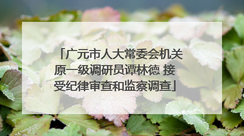 广元市人大常委会机关原一级调研员谭林德 接受纪律审查和监察调查