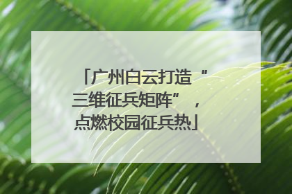 广州白云打造“三维征兵矩阵”，点燃校园征兵热