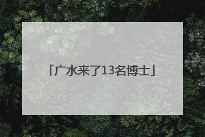 广水来了13名博士