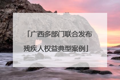广西多部门联合发布残疾人权益典型案例