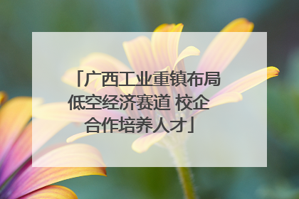 广西工业重镇布局低空经济赛道 校企合作培养人才