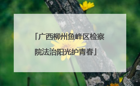 广西柳州鱼峰区检察院法治阳光护青春