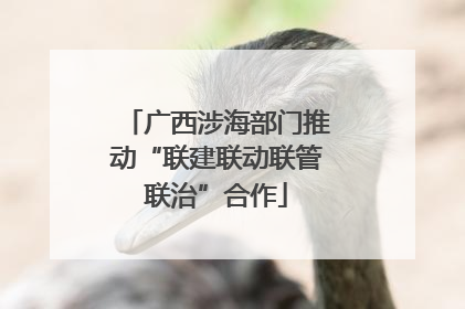 广西涉海部门推动“联建联动联管联治”合作