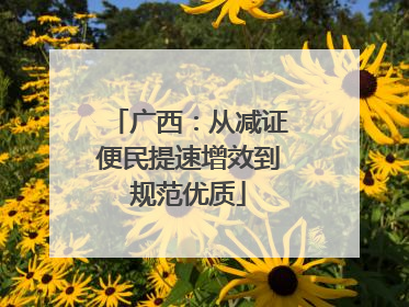 广西：从减证便民提速增效到规范优质