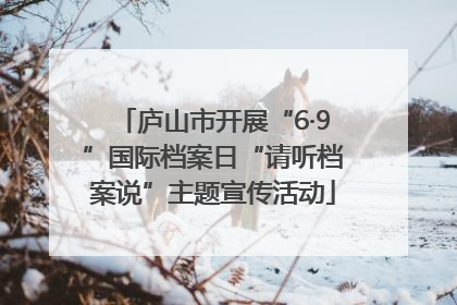 庐山市开展“6·9”国际档案日“请听档案说”主题宣传活动