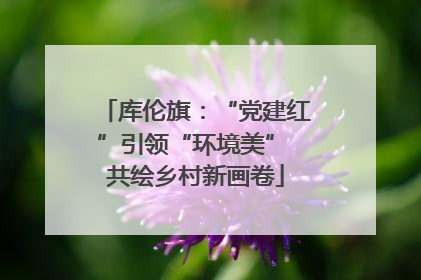 库伦旗：“党建红”引领“环境美” 共绘乡村新画卷