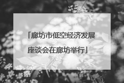 廊坊市低空经济发展座谈会在廊坊举行