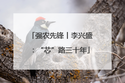 强农先锋丨李兴盛：“芯”路三十年