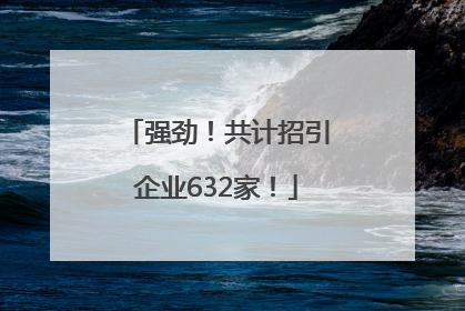 强劲！共计招引企业632家！