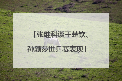 张继科谈王楚钦、孙颖莎世乒赛表现