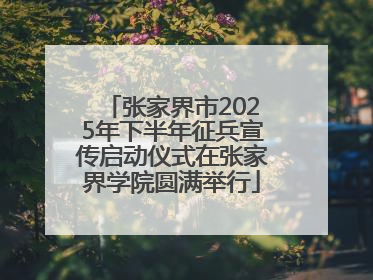 张家界市2025年下半年征兵宣传启动仪式在张家界学院圆满举行