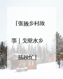 张掖乡村故事｜戈壁水乡插秧忙