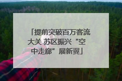提前突破百万客流大关 苏区振兴“空中走廊”展新翼