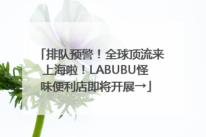 排队预警！全球顶流来上海啦！LABUBU怪味便利店即将开展→