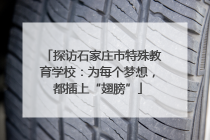 探访石家庄市特殊教育学校：为每个梦想，都插上“翅膀”