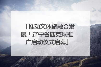 推动文体旅融合发展！辽宁省匹克球推广启动仪式启幕