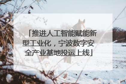 推进人工智能赋能新型工业化，宁波数字安全产业基地投运上线