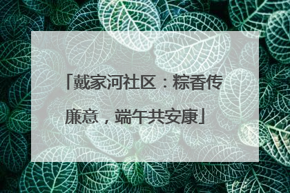 戴家河社区：粽香传廉意，端午共安康