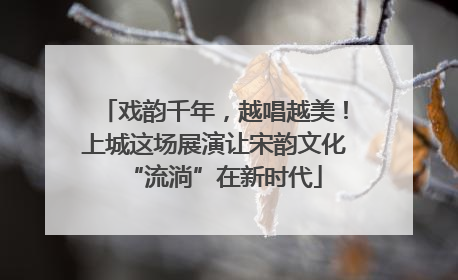 戏韵千年，越唱越美！上城这场展演让宋韵文化“流淌”在新时代