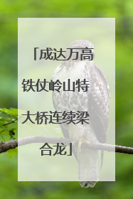 成达万高铁仗岭山特大桥连续梁合龙