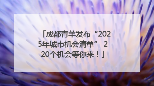成都青羊发布“2025年城市机会清单” 220个机会等你来！