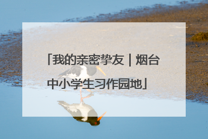 我的亲密挚友｜烟台中小学生习作园地