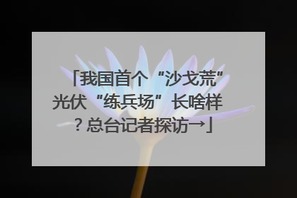 我国首个“沙戈荒”光伏“练兵场”长啥样？总台记者探访→