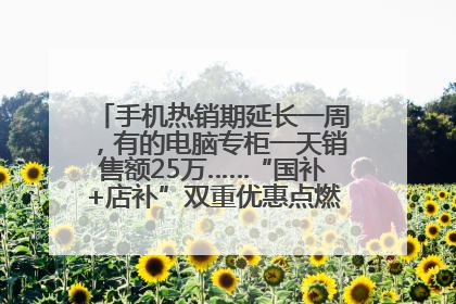 手机热销期延长一周，有的电脑专柜一天销售额25万……“国补+店补”双重优惠点燃德州“考后经济”