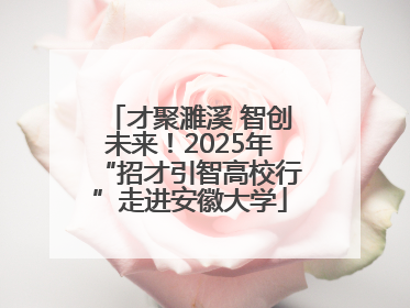 才聚濉溪 智创未来！2025年“招才引智高校行”走进安徽大学