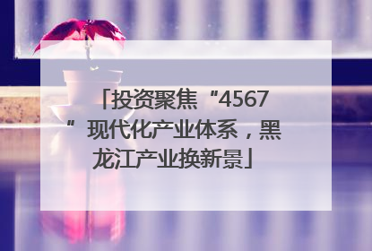 投资聚焦“4567”现代化产业体系，黑龙江产业换新景