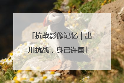 抗战影像记忆｜出川抗战，身已许国