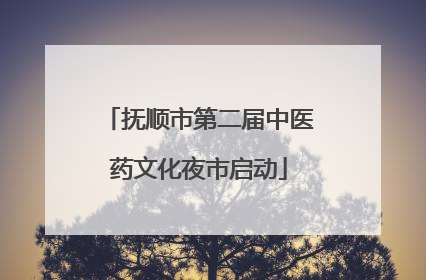 抚顺市第二届中医药文化夜市启动