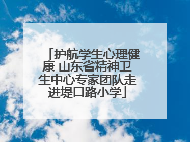 护航学生心理健康 山东省精神卫生中心专家团队走进堤口路小学