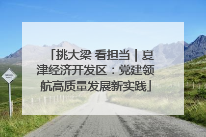 挑大梁 看担当｜夏津经济开发区：党建领航高质量发展新实践