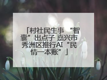 村社民生事 “智囊”出点子 嘉兴市秀洲区推行AI“民情一本账”