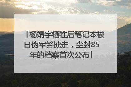 杨靖宇牺牲后笔记本被日伪军警掳走，尘封85年的档案首次公布