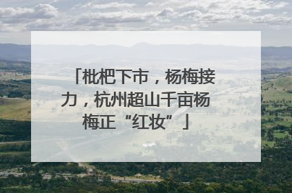 枇杷下市，杨梅接力，杭州超山千亩杨梅正“红妆”