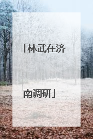 林武在济南调研
