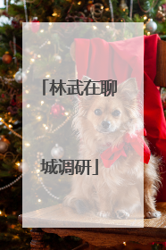 林武在聊城调研
