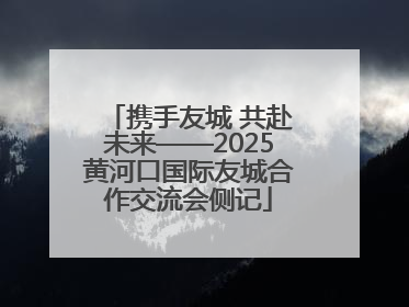 携手友城 共赴未来——2025黄河口国际友城合作交流会侧记
